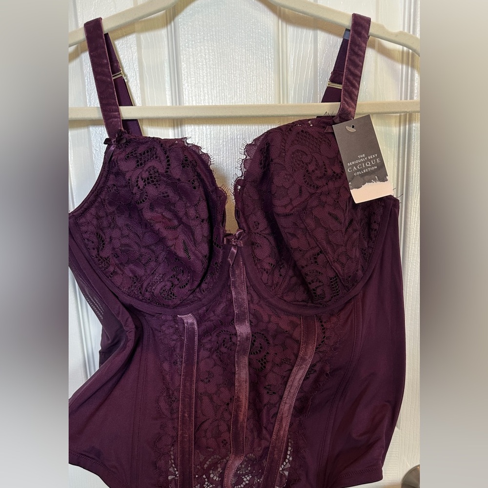 Lane Bryan Seriousy Sexy Bra
